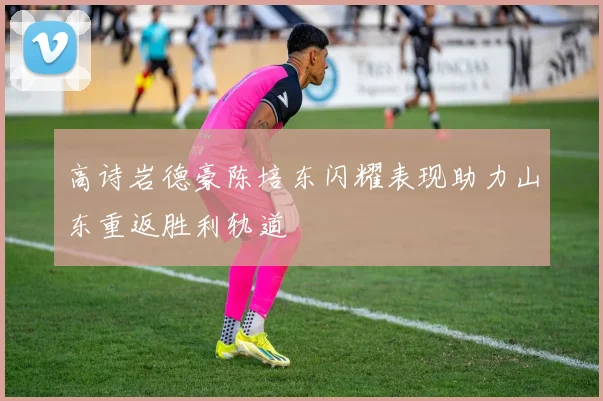 高诗岩德豪陈培东闪耀表现助力山东重返胜利轨道