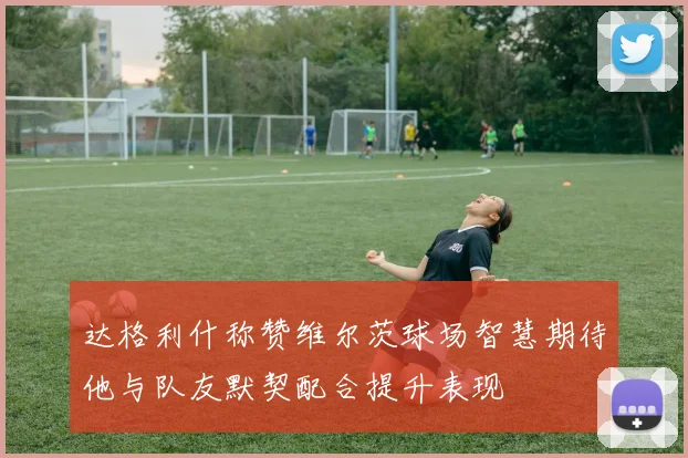 达格利什称赞维尔茨球场智慧期待他与队友默契配合提升表现