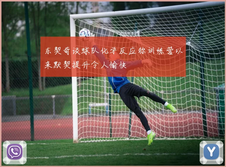 东契奇谈球队化学反应称训练营以来默契提升令人愉快
