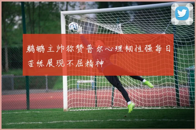 鹈鹕主帅称赞普尔心理韧性强每日苦练展现不屈精神