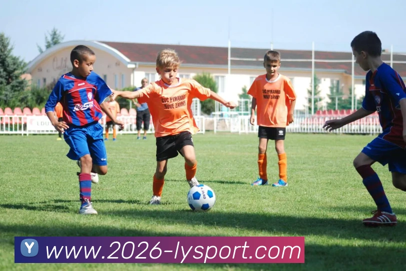 乐鱼体育服务体系