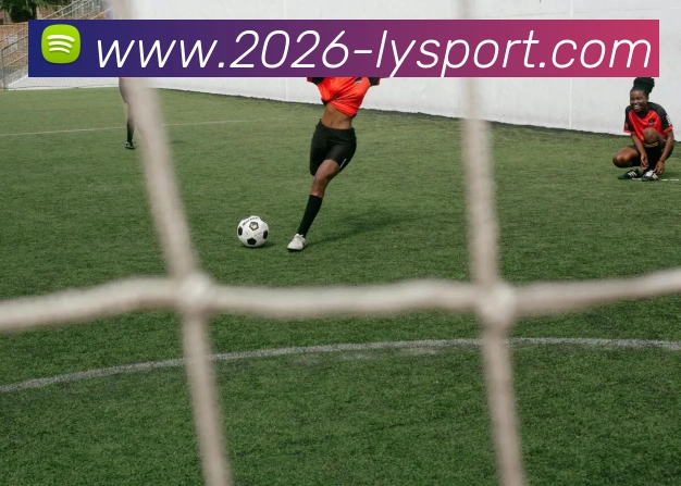 乐鱼体育APP 体育赛事宣传图